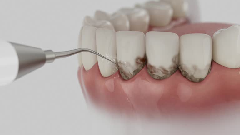 Reliable Dental contractor in Fairmont, WV by Dentist Open Now